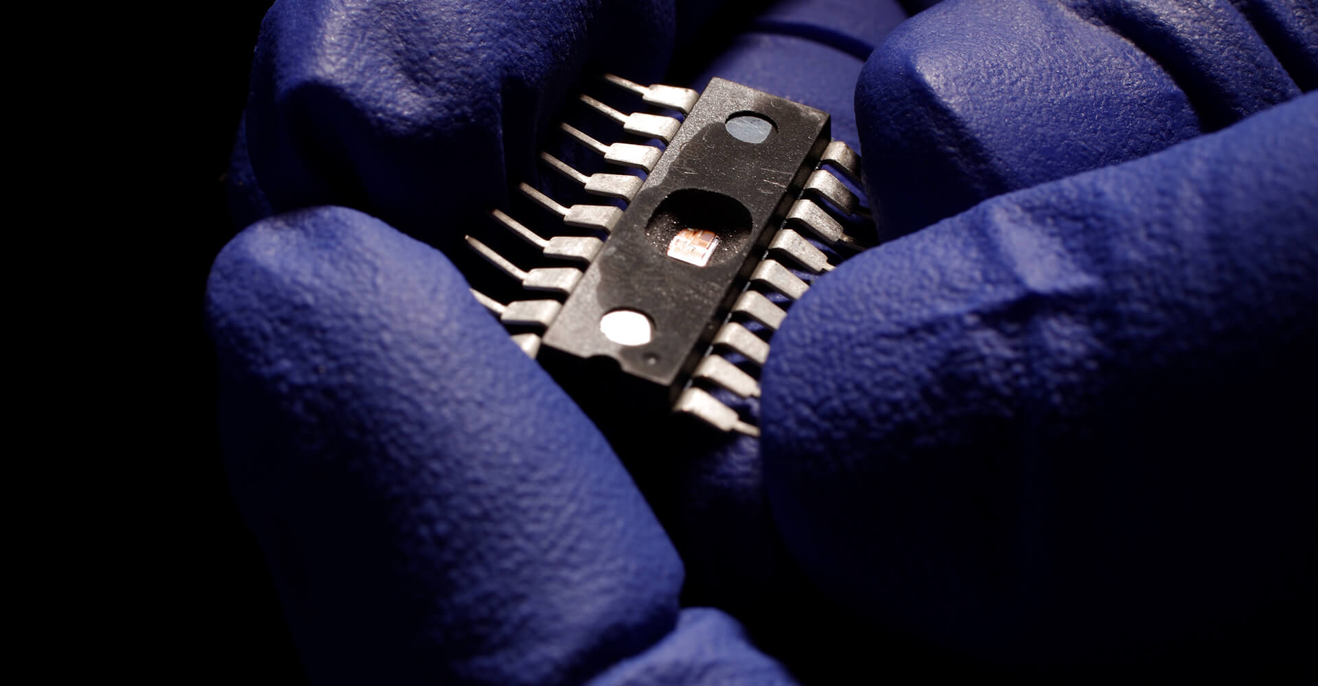 Photo of Microchip